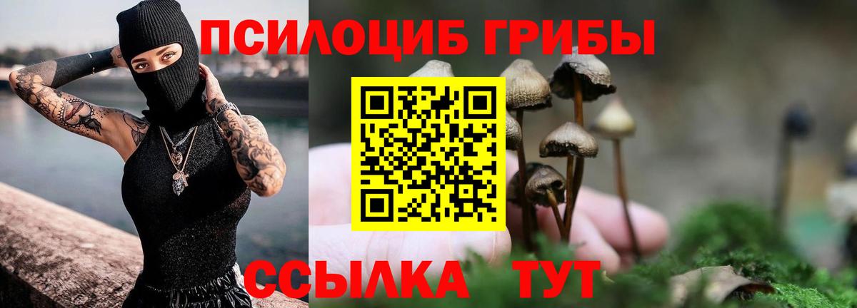 Псилоцибиновые грибы прущие грибы  Вход с VPN  Кисловодск  Галлюциногенные грибы мицелий 